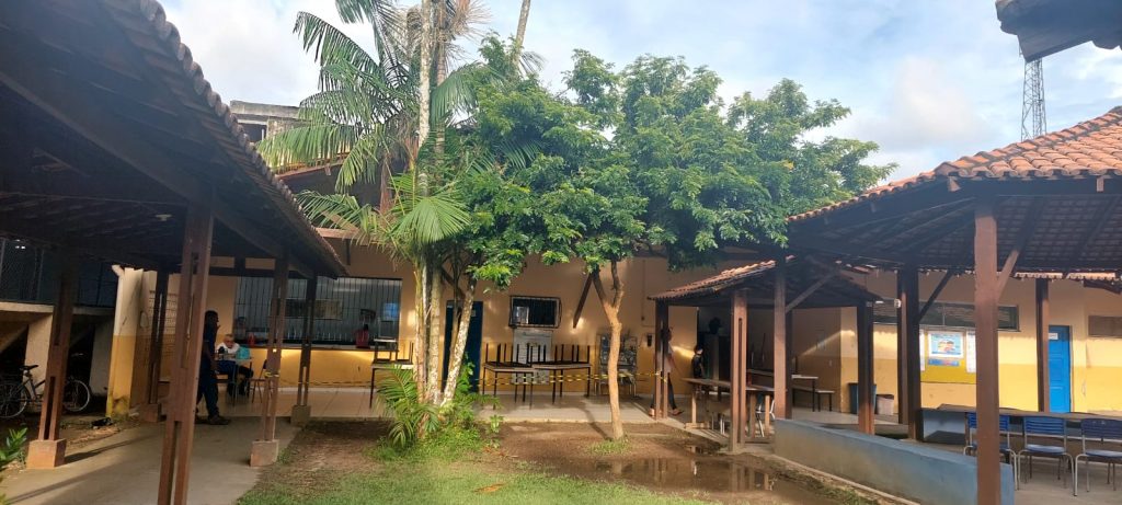 As árvores de pau-brasil preservadas são tesouros na Escola Municipal Terezinha Souza.